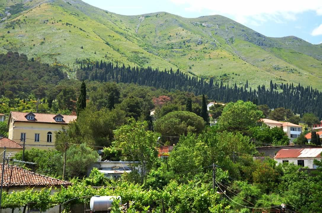 Hotel Shkodra Lake Shiroka Luaran gambar