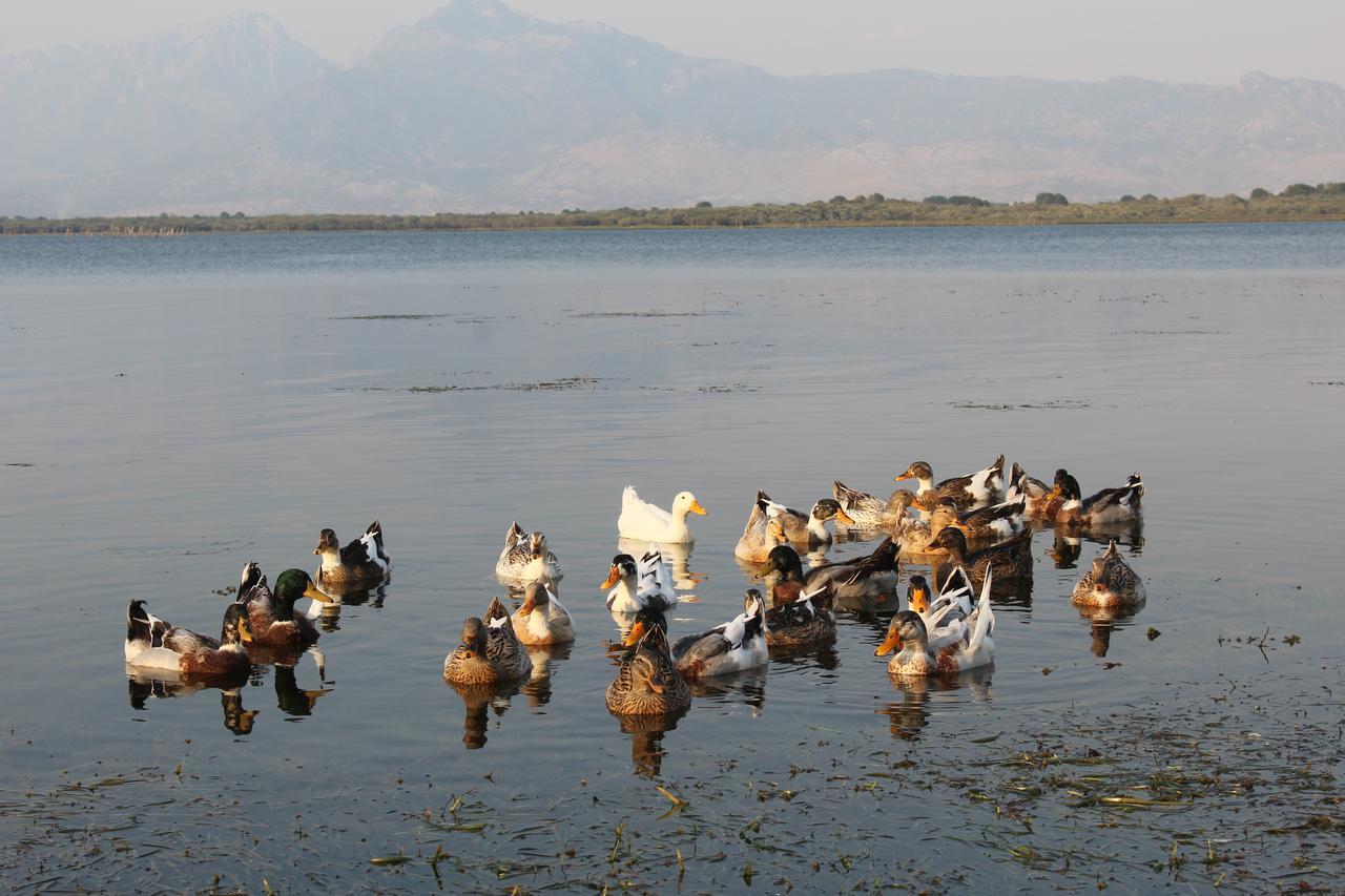 Hotel Shkodra Lake Shiroka Luaran gambar